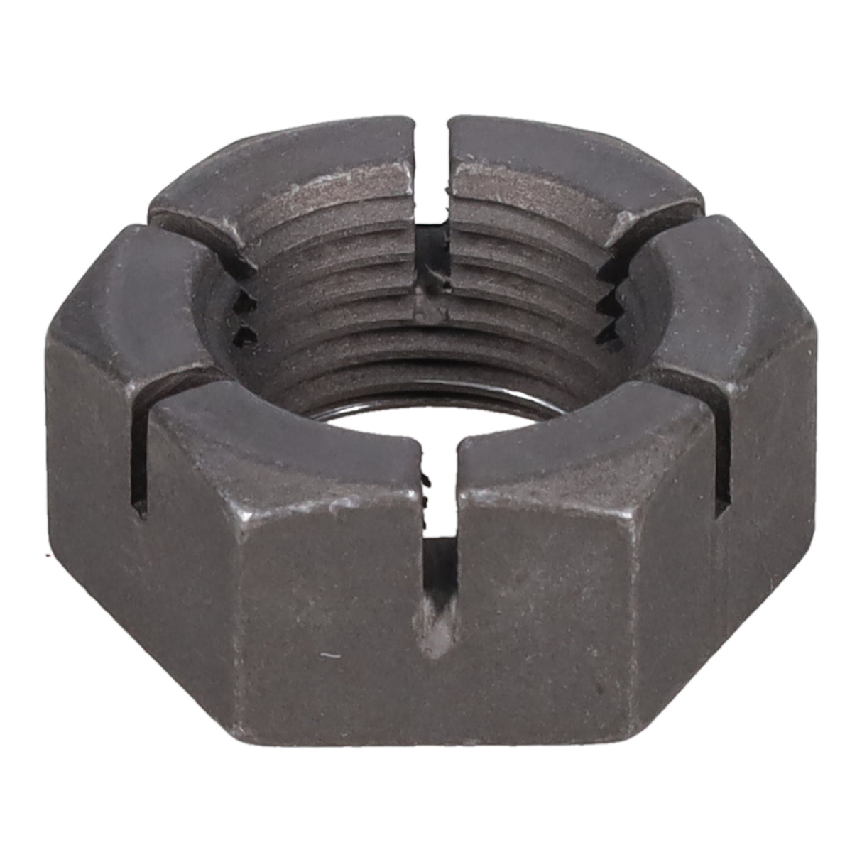 SPHN11676_3000_01.jpg