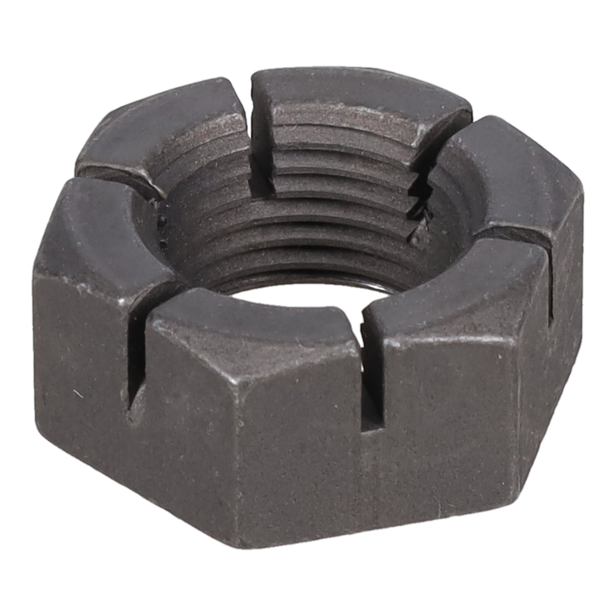 SPHN11676_3000_02.jpg