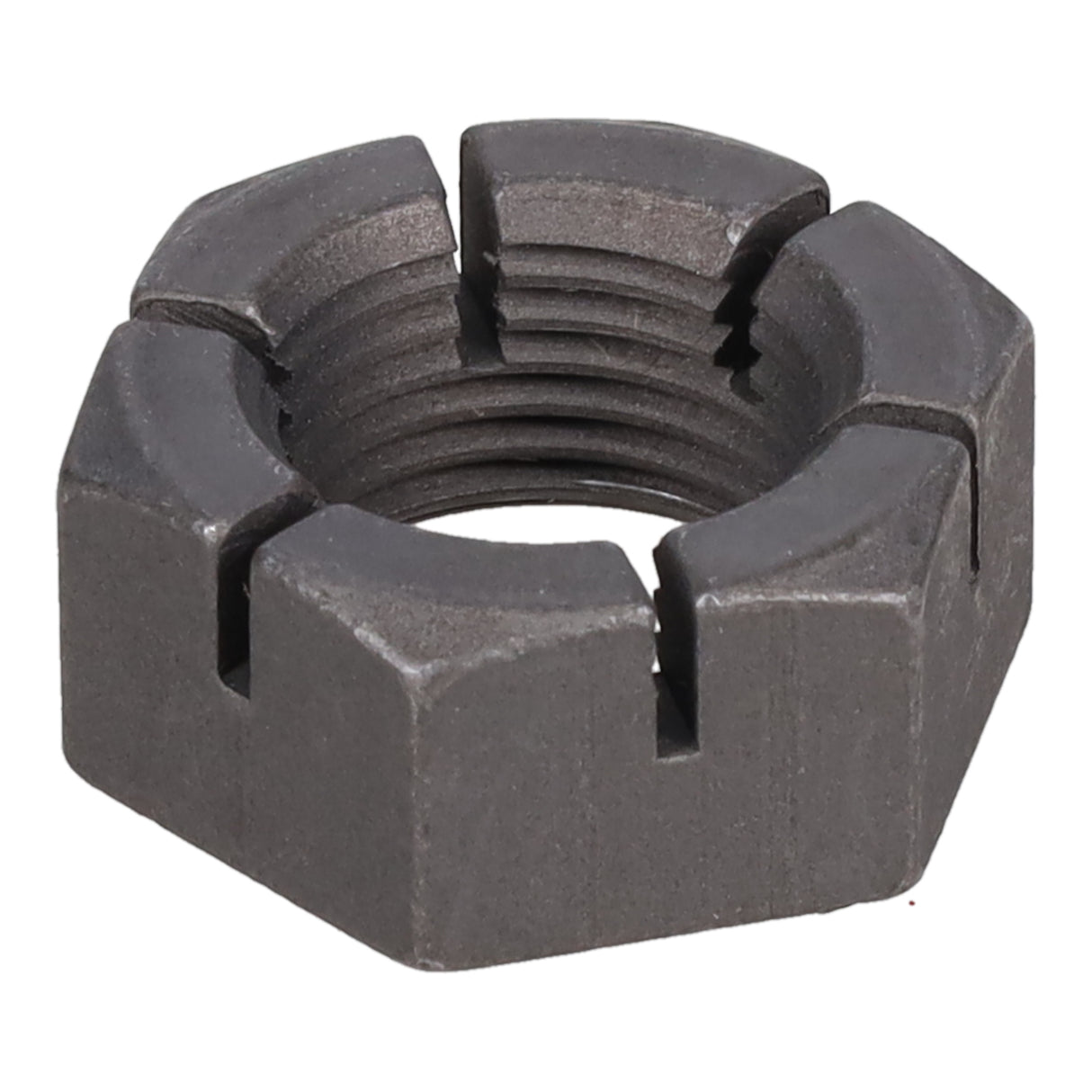 SPHN11676_3000_06.jpg