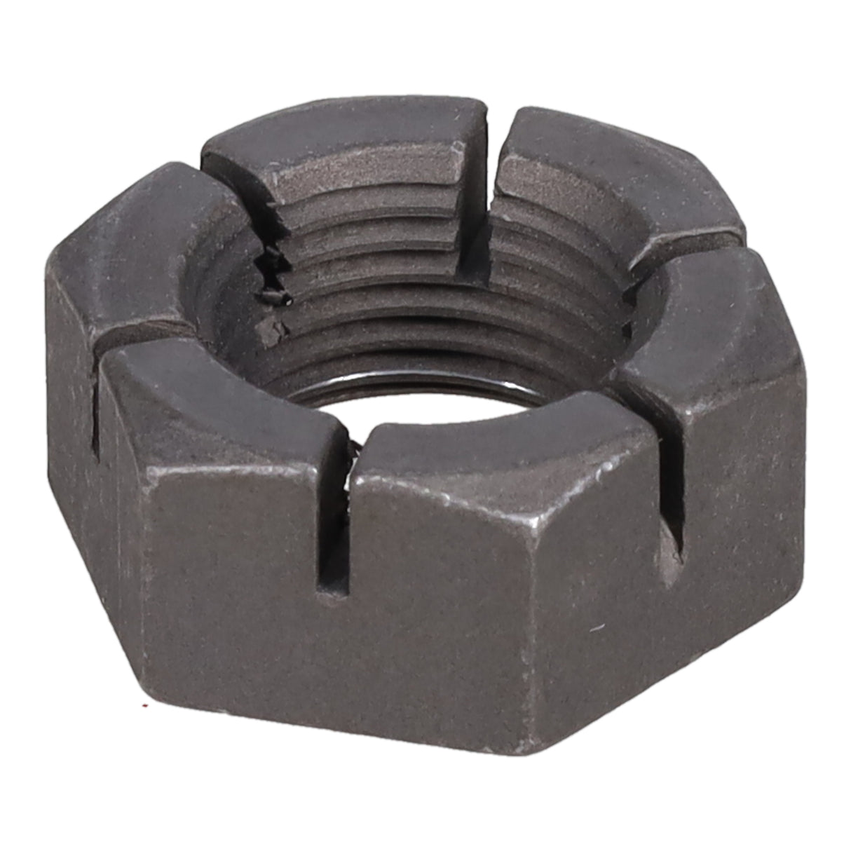 SPHN11676_3000_08.jpg