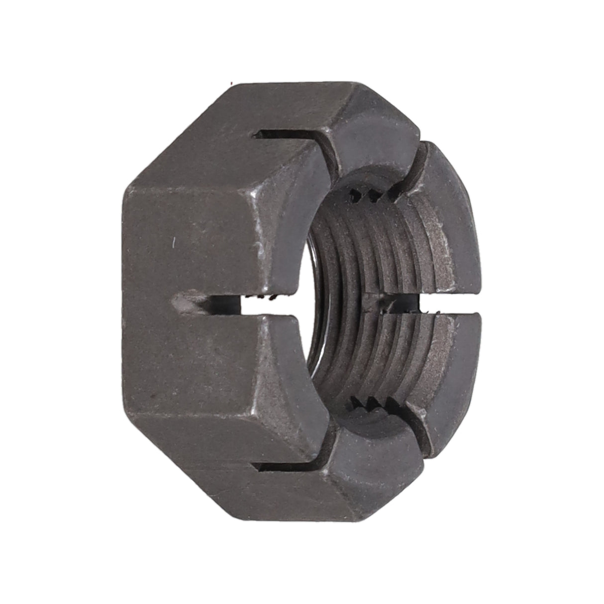 SPHN11676_3000_vertical02.jpg