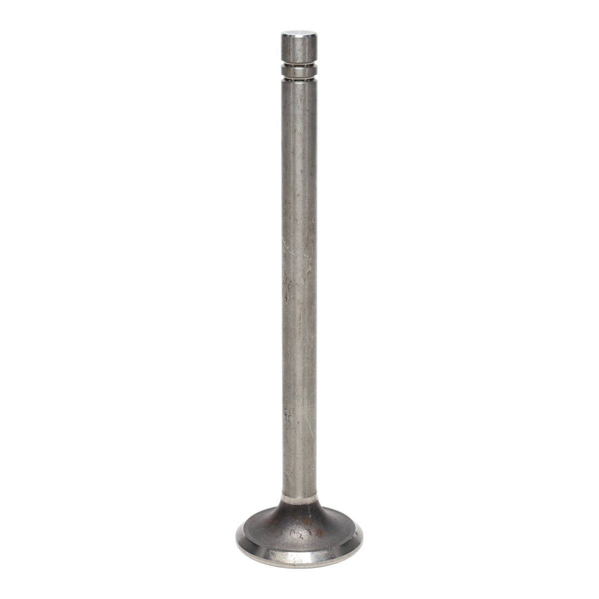 Exhaust Valve
