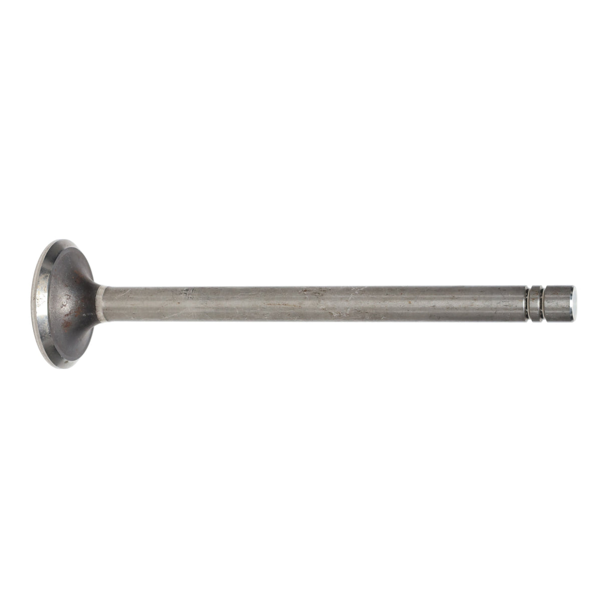 Exhaust Valve