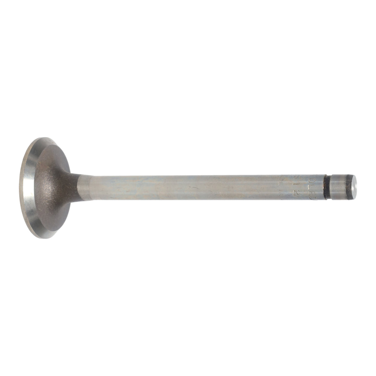 Exhaust Valve