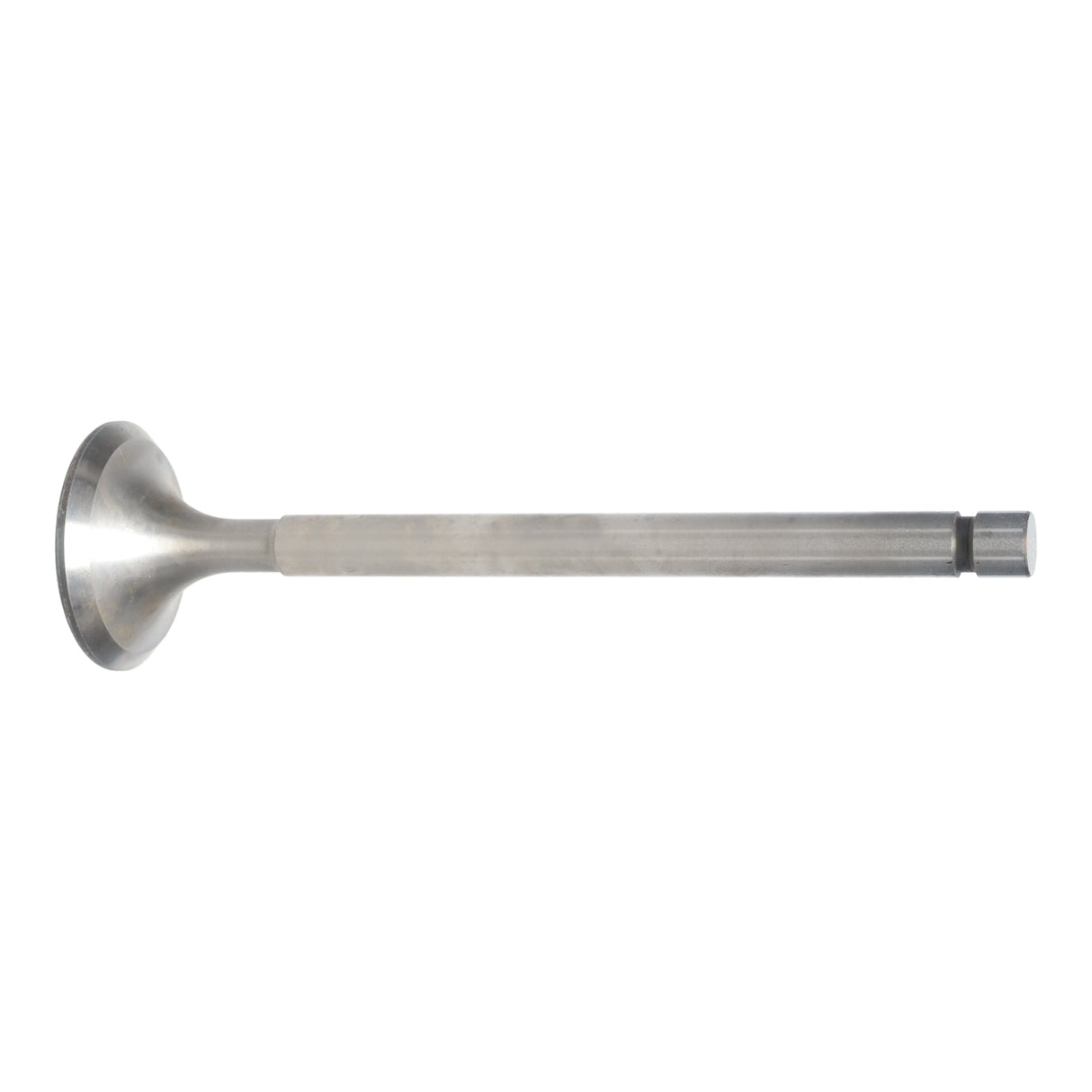 Exhaust Valve