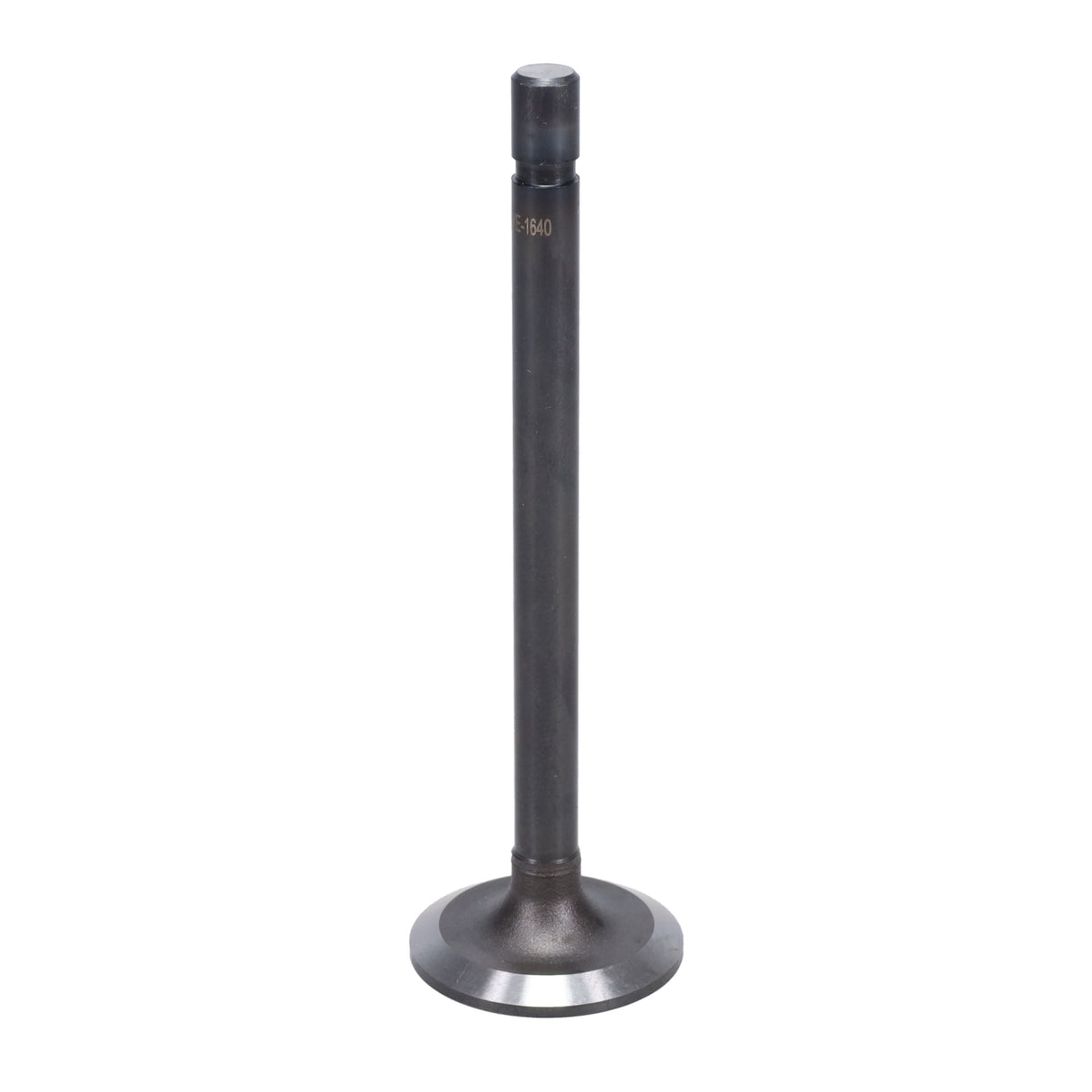 Exhaust Valve