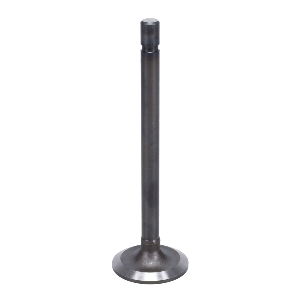 Exhaust Valve