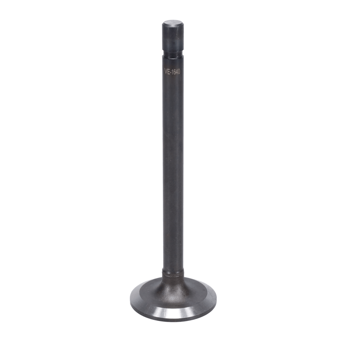 Exhaust Valve