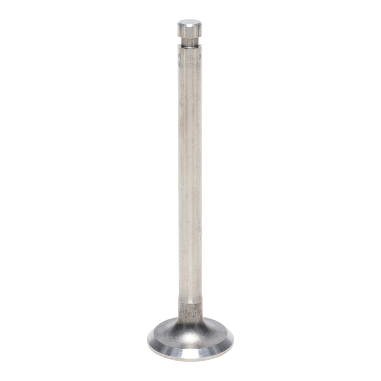 Exhaust Valve