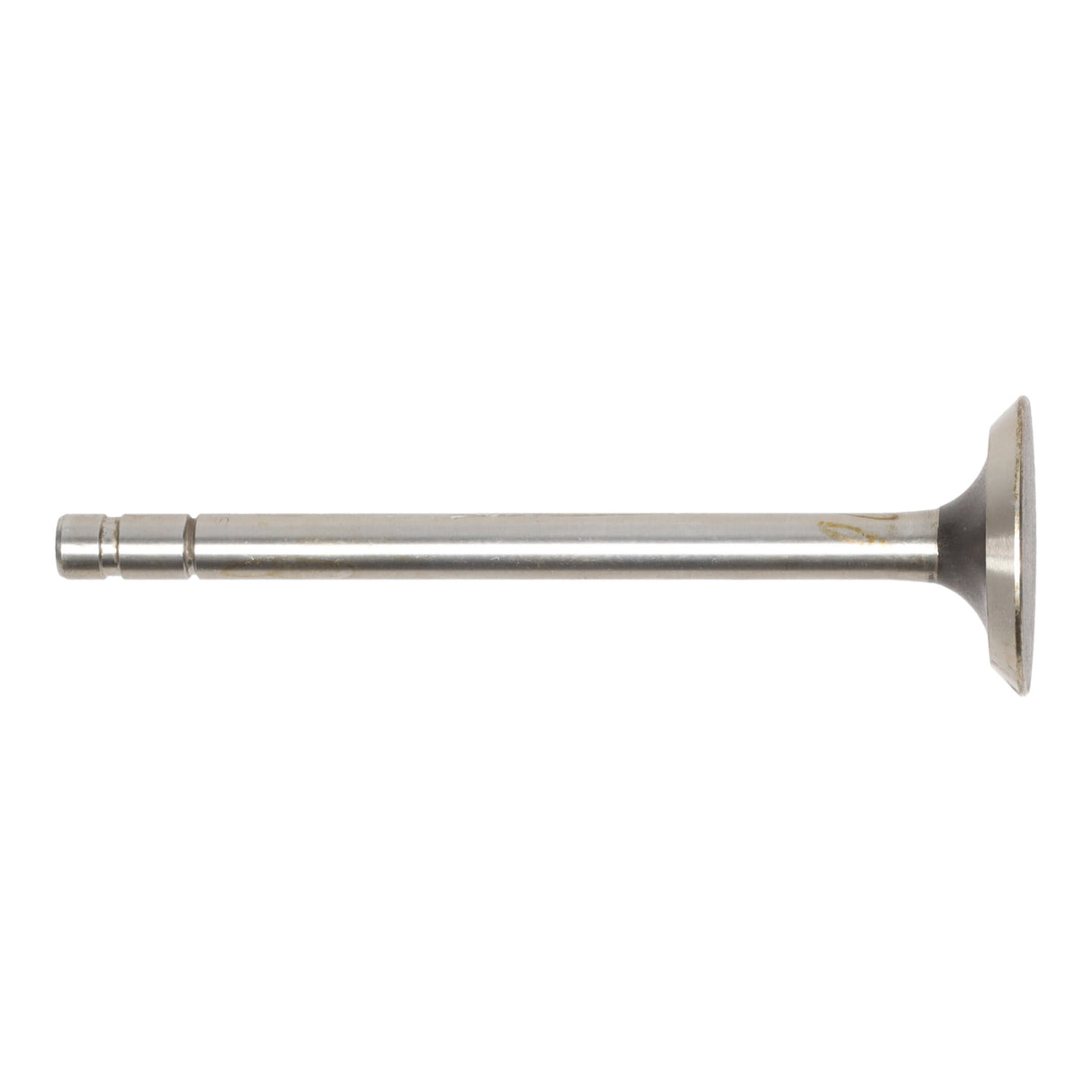 Exhaust Valve