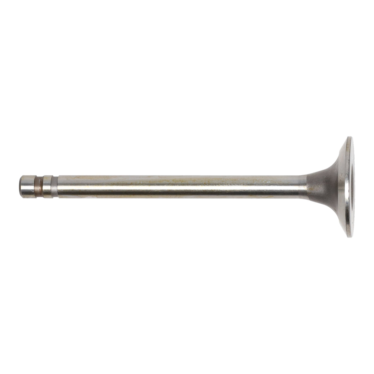 Exhaust Valve