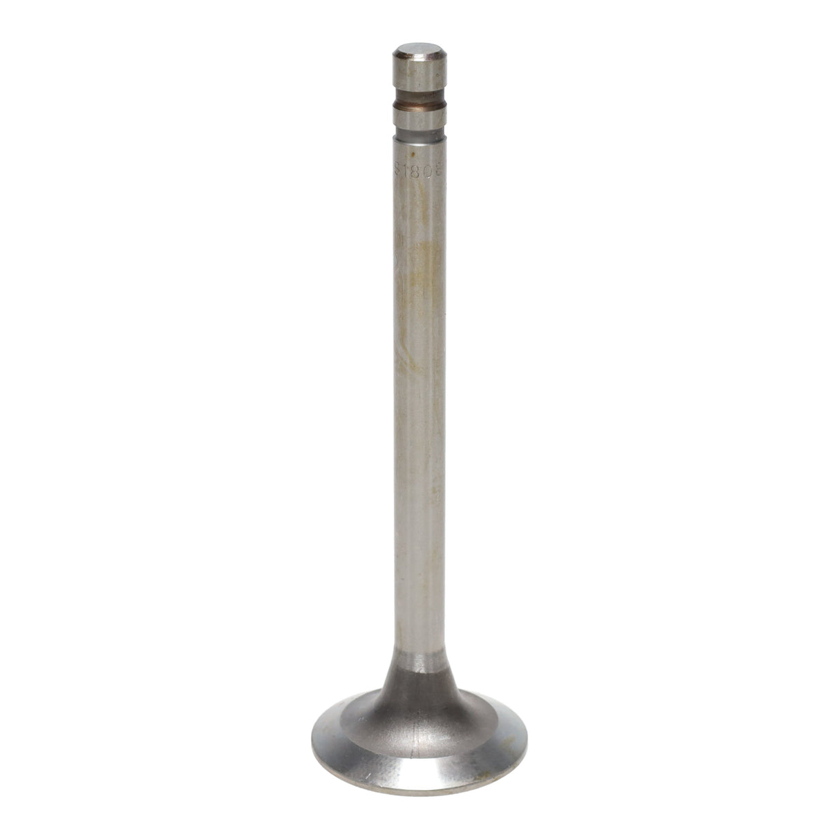 Exhaust Valve