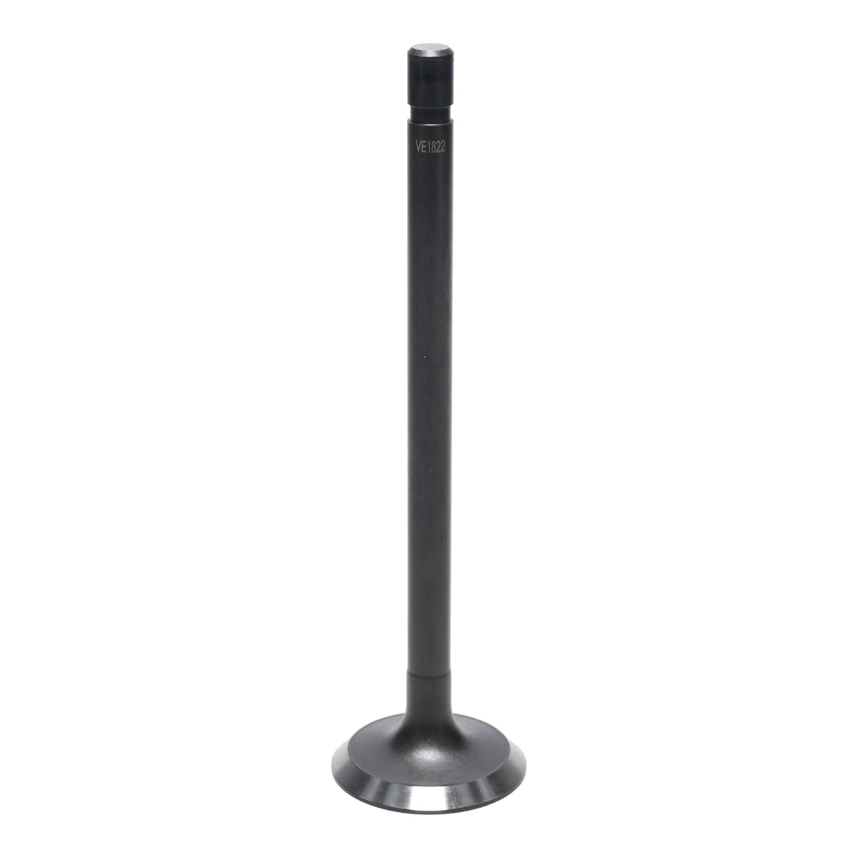 Exhaust Valve