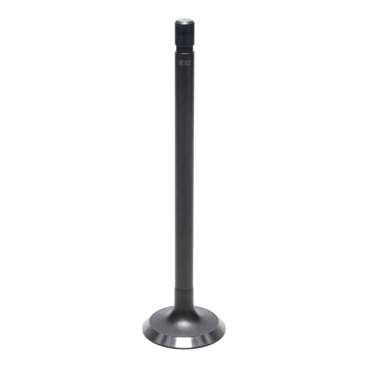 Exhaust Valve
