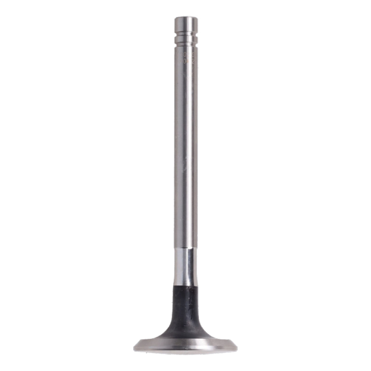 Exhaust Valve