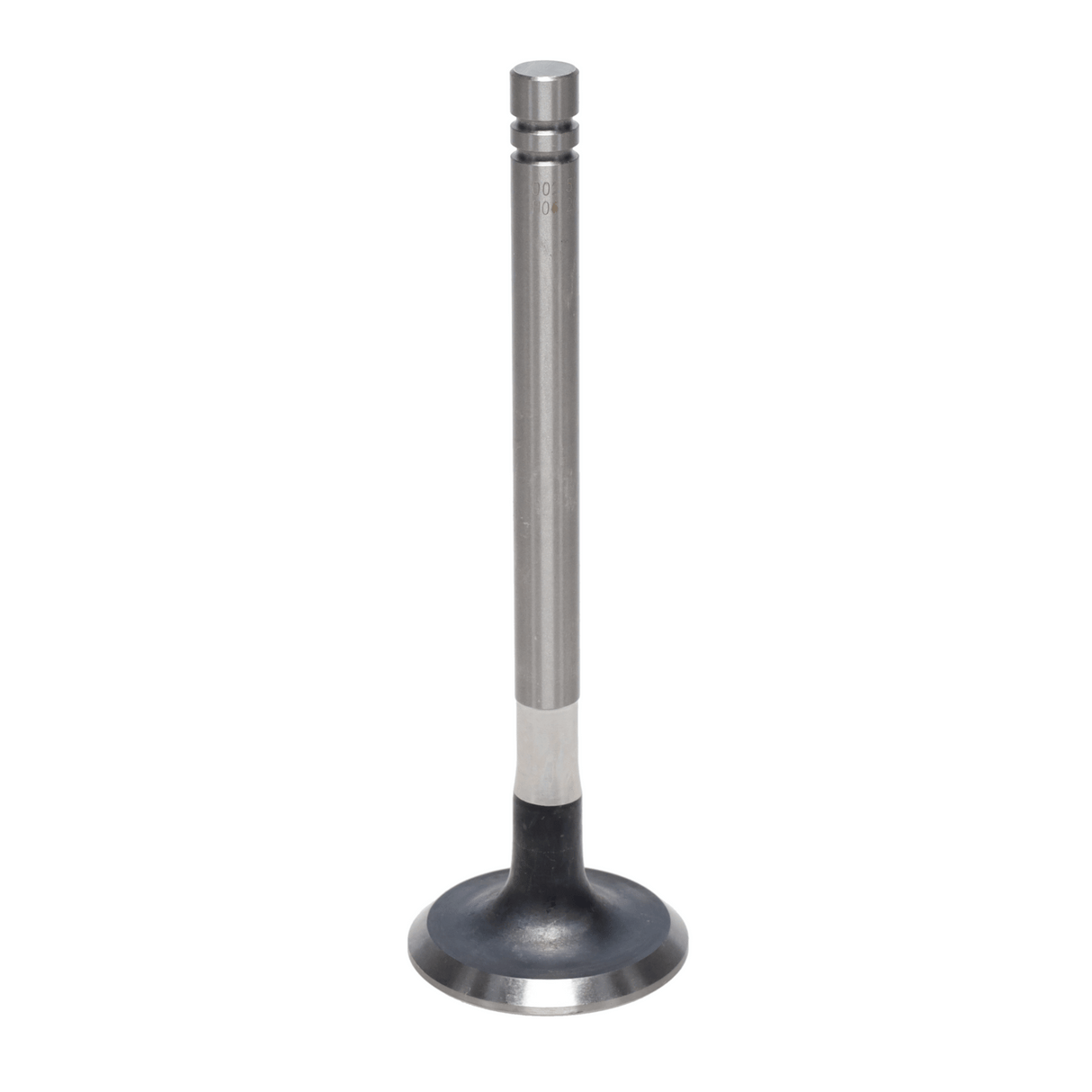 Exhaust Valve