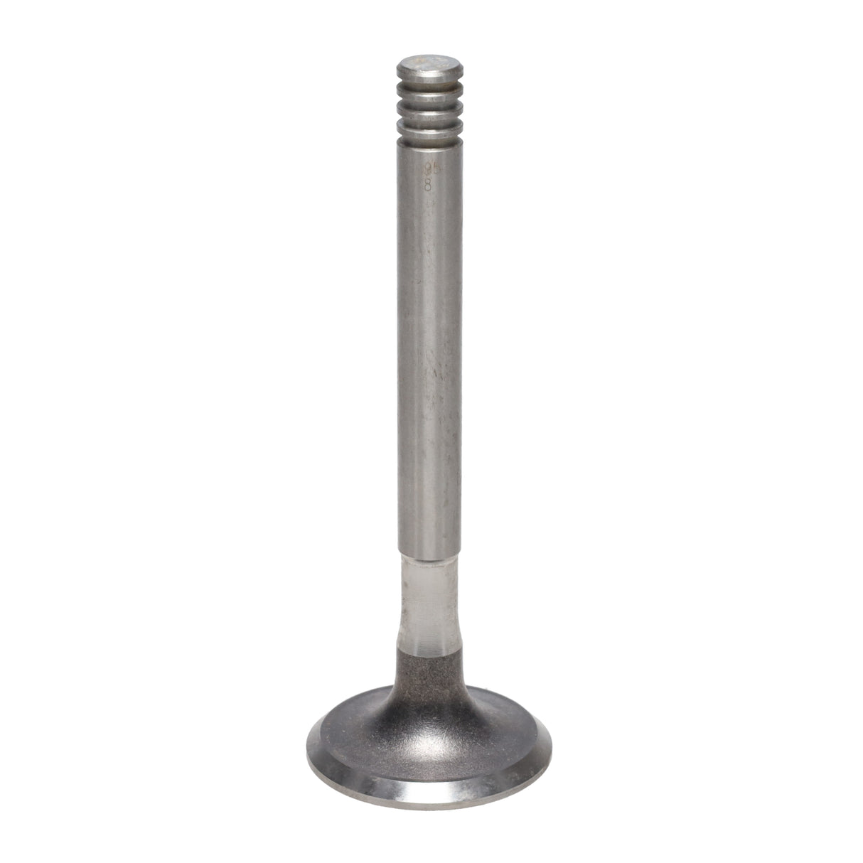 Exhaust Valve