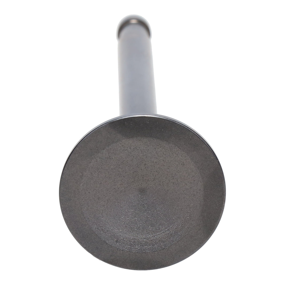 Exhaust Valve