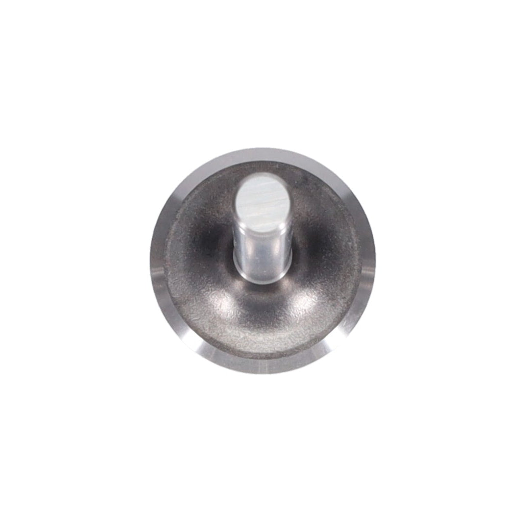 Exhaust Valve
