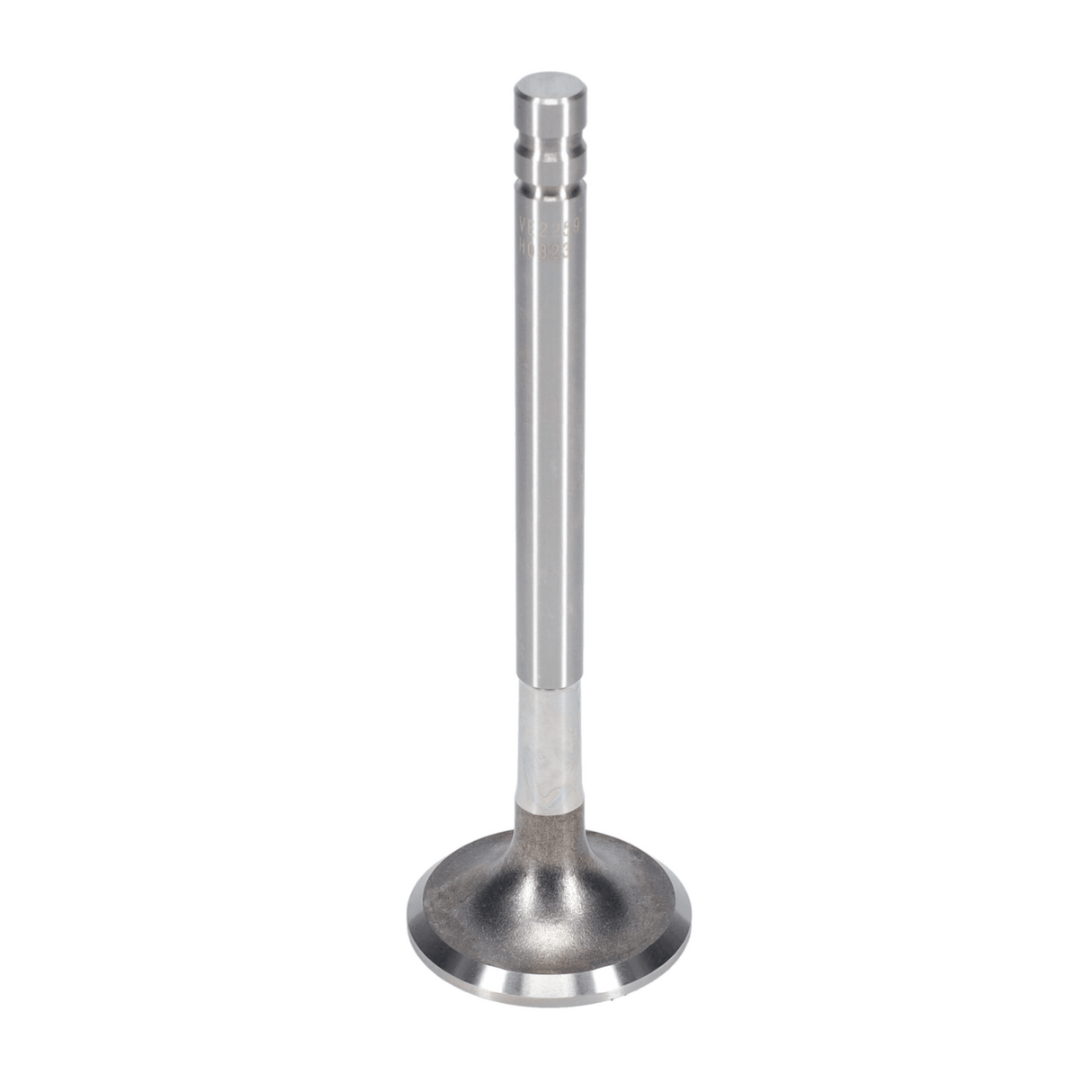 Exhaust Valve