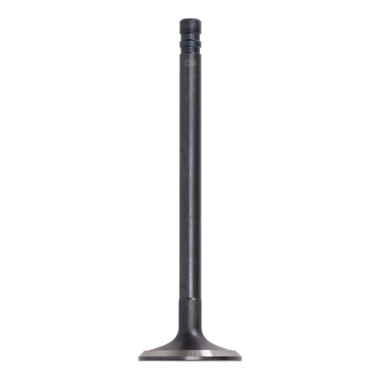 Exhaust Valve