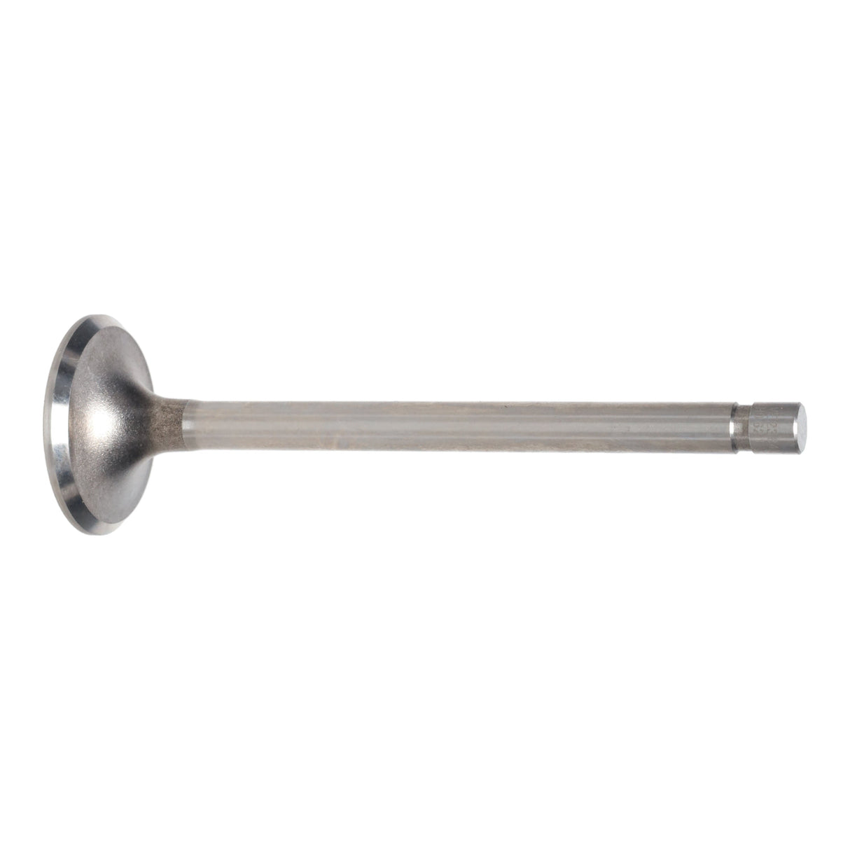Exhaust Valve