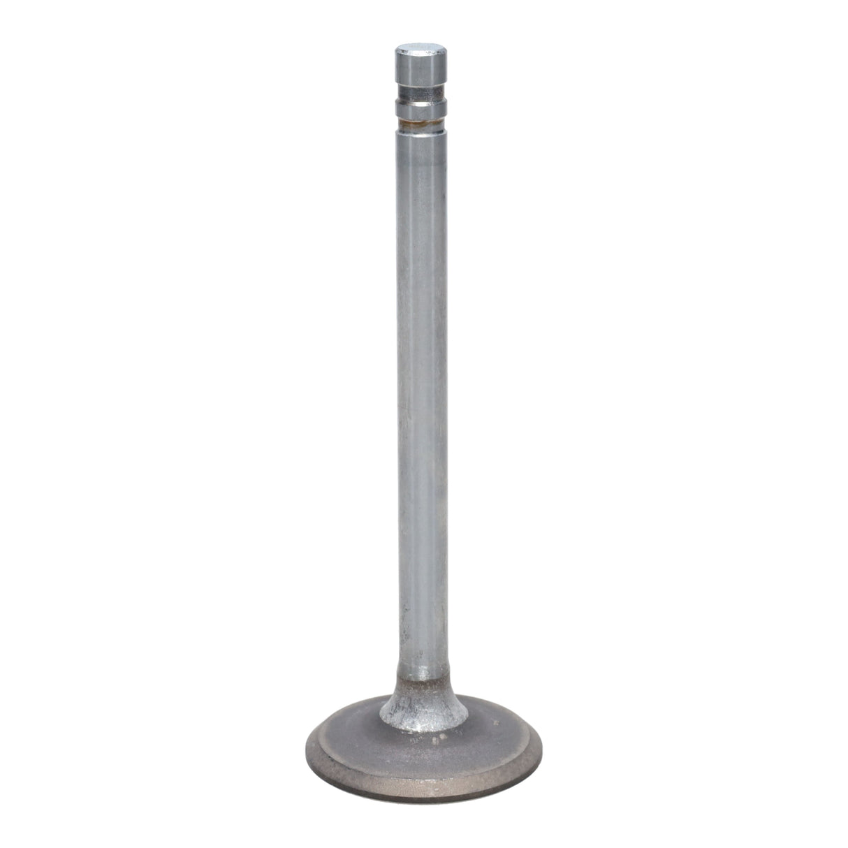 Exhaust Valve