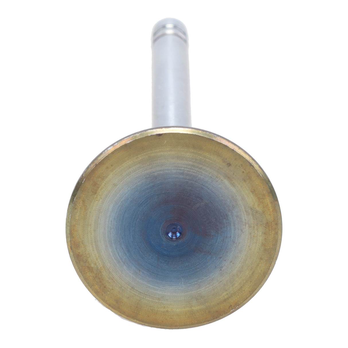 Exhaust Valve
