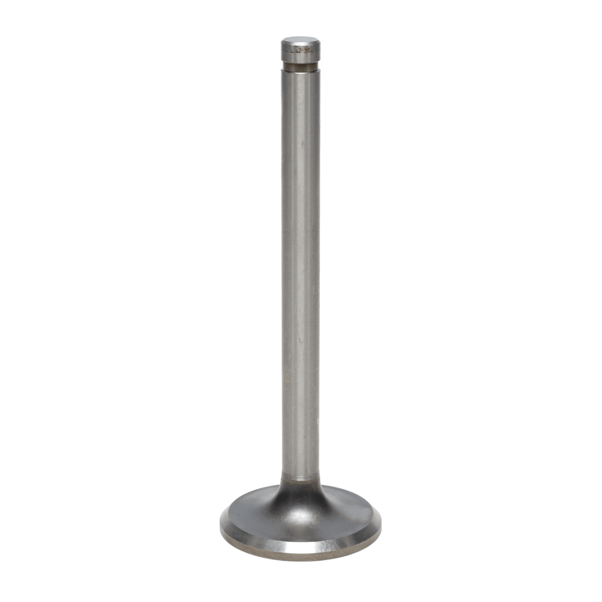 Exhaust Valve