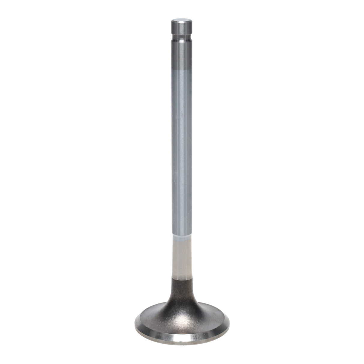 Exhaust Valve