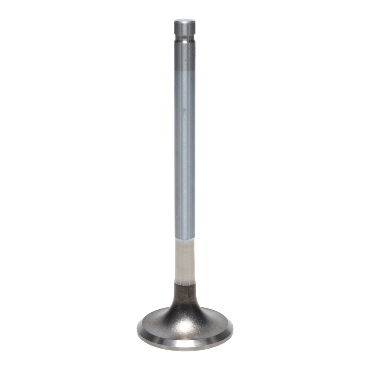 Exhaust Valve
