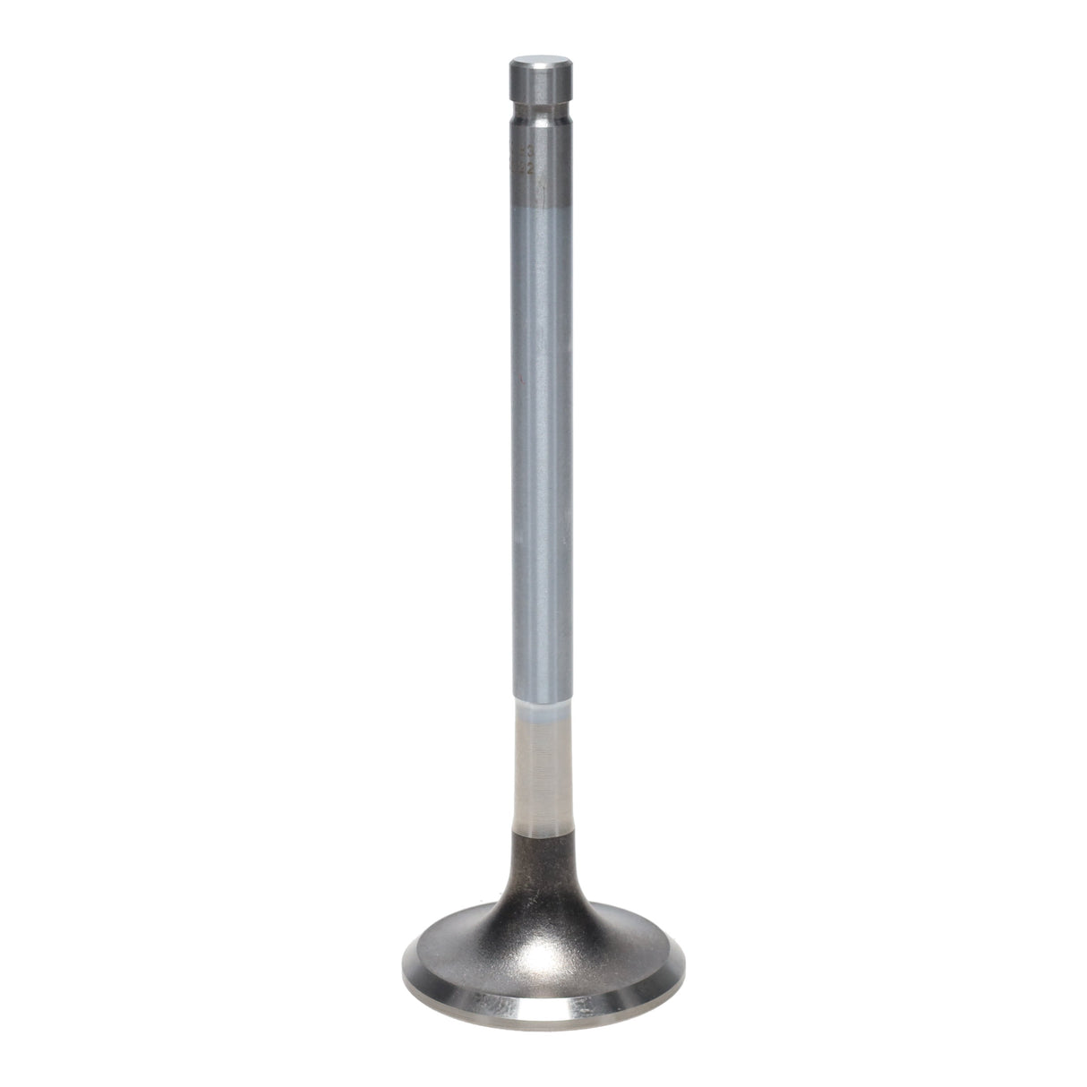 Exhaust Valve