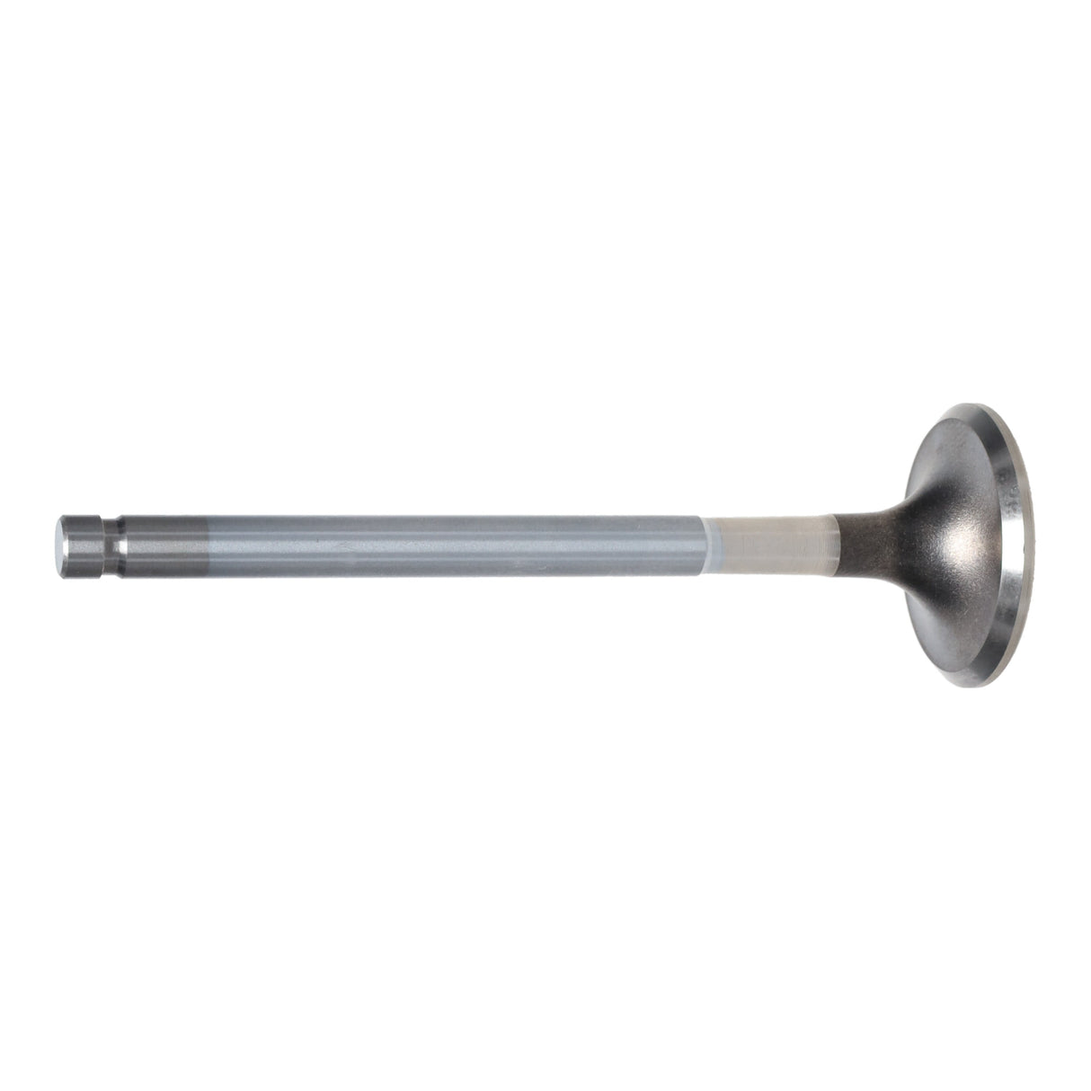Exhaust Valve