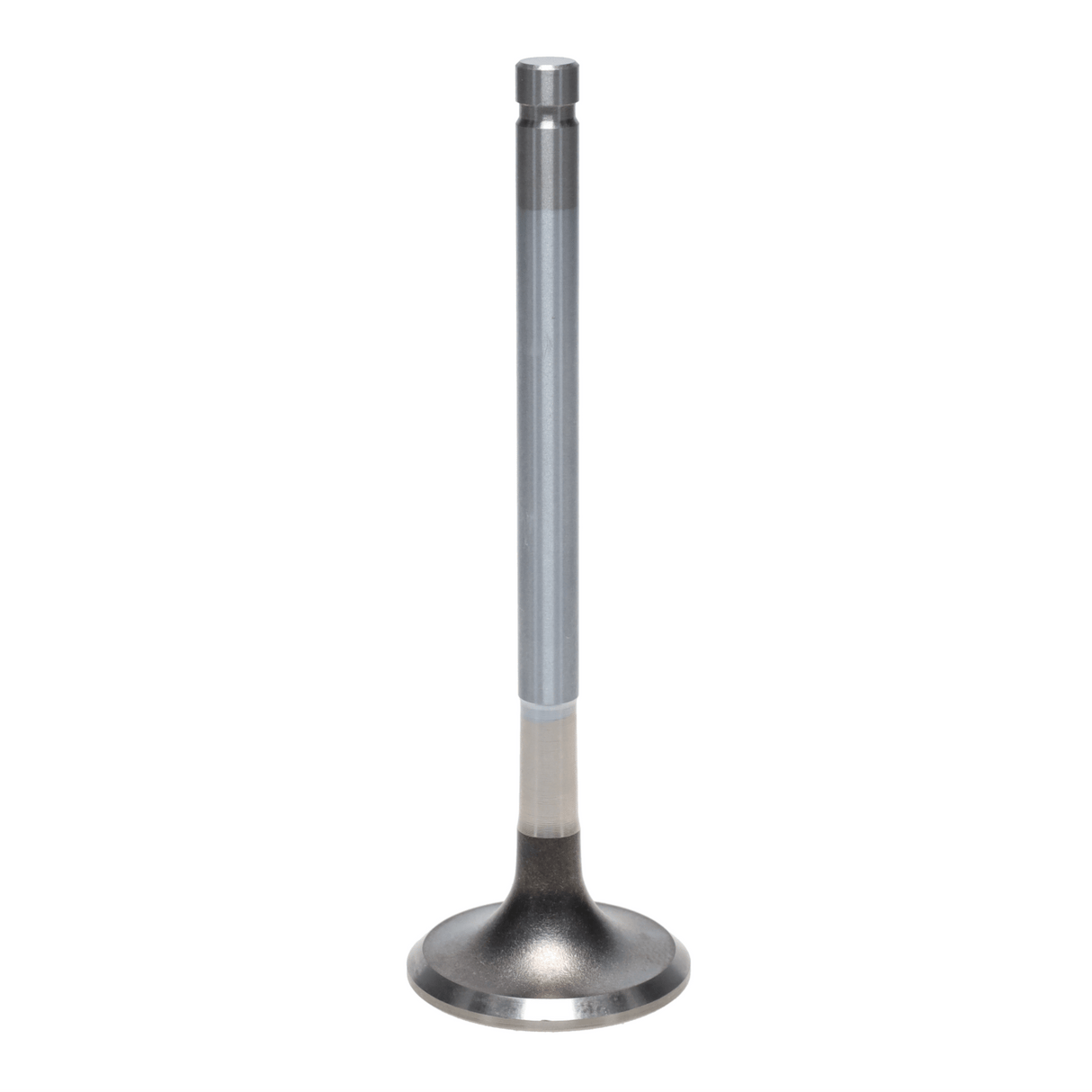 Exhaust Valve