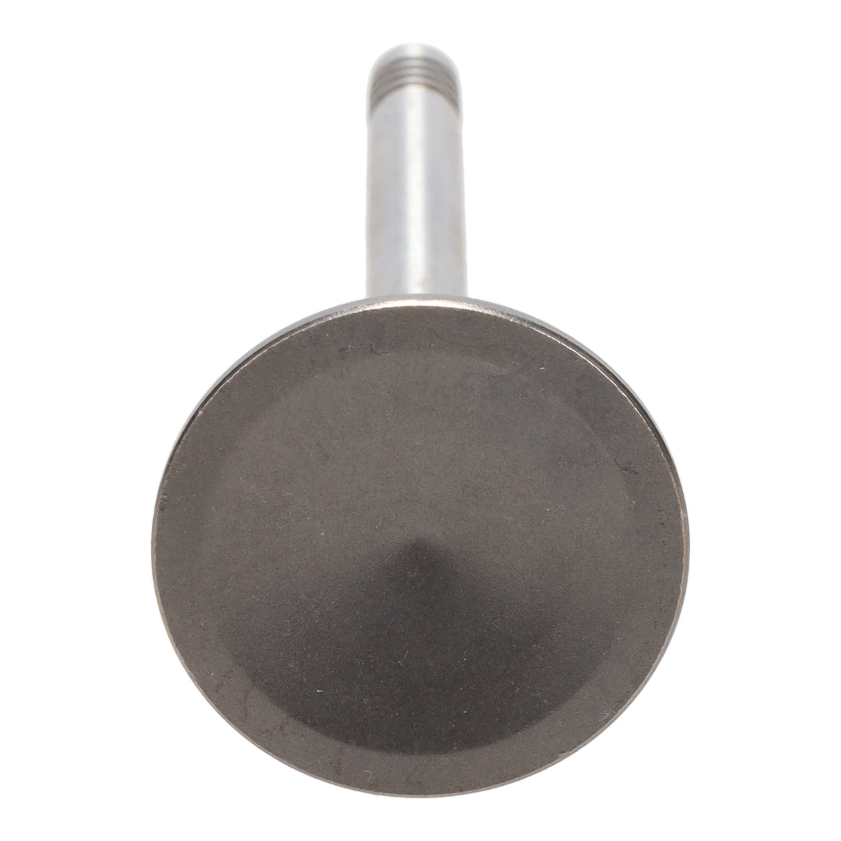 Exhaust Valve