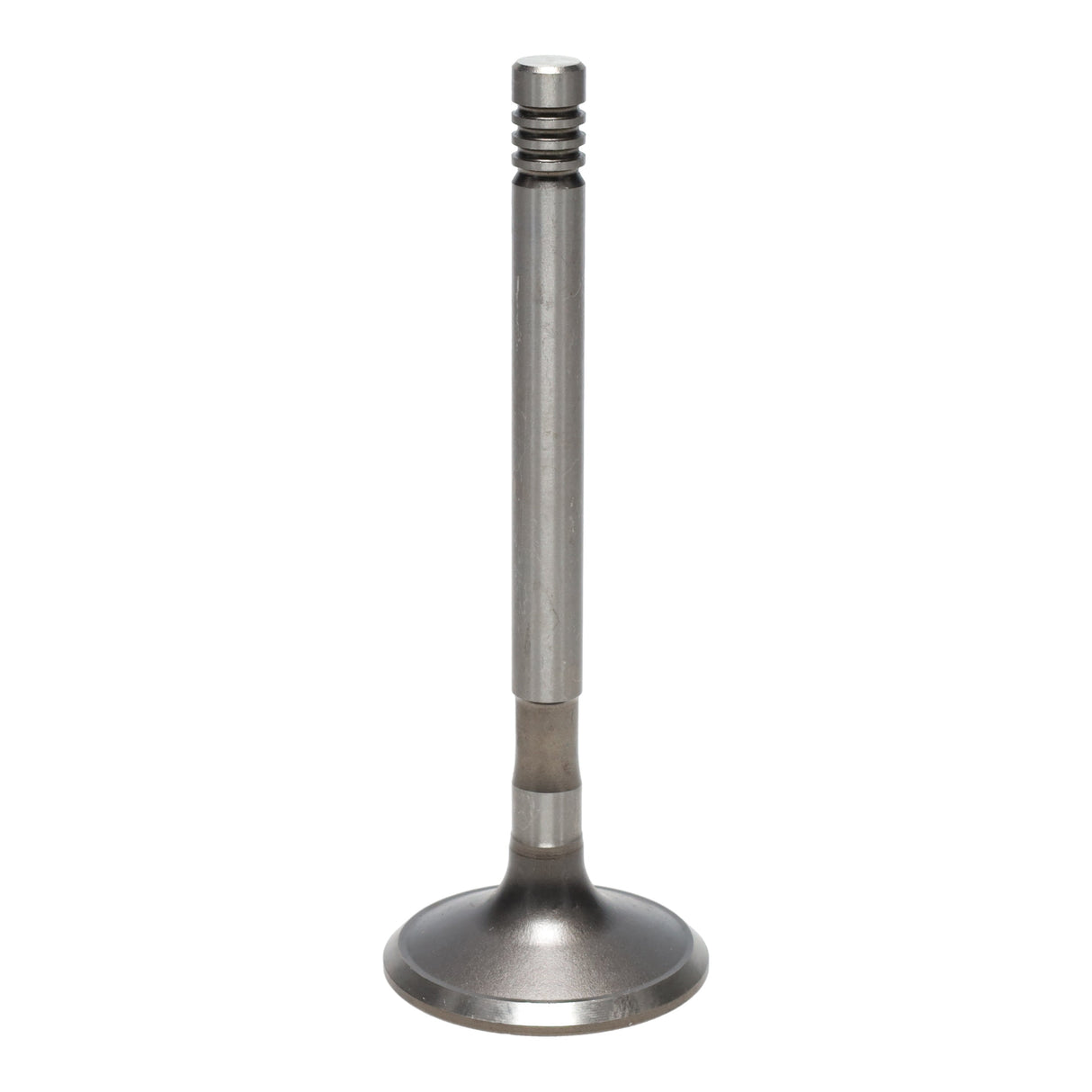 Exhaust Valve
