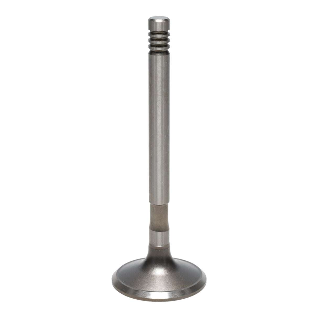 Exhaust Valve