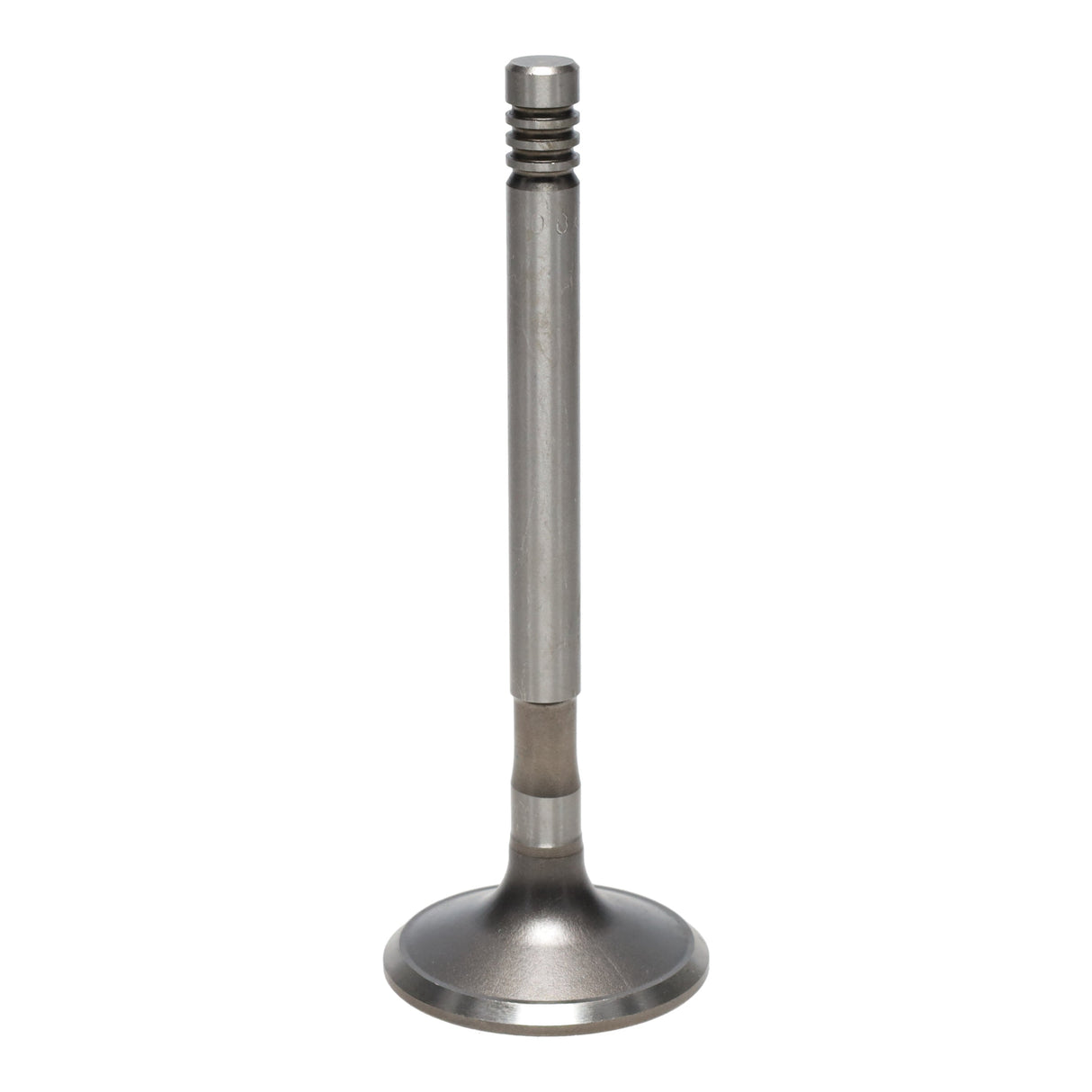 Exhaust Valve