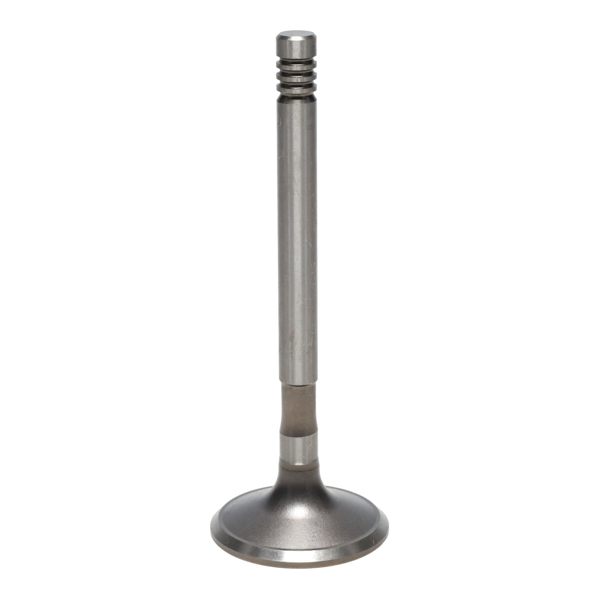Exhaust Valve