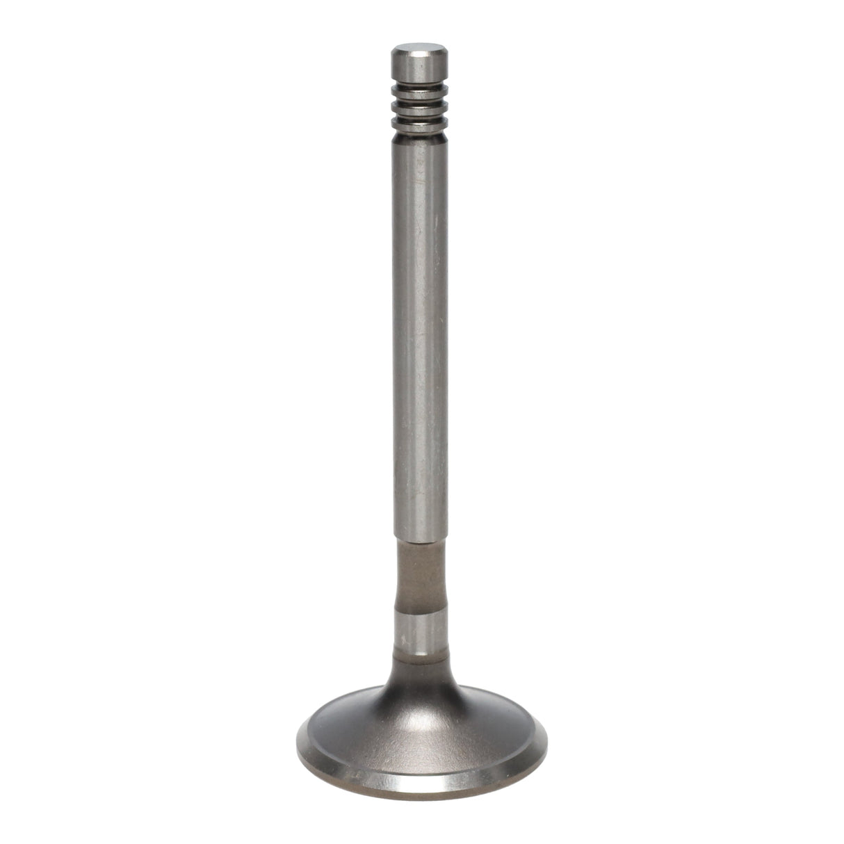 Exhaust Valve