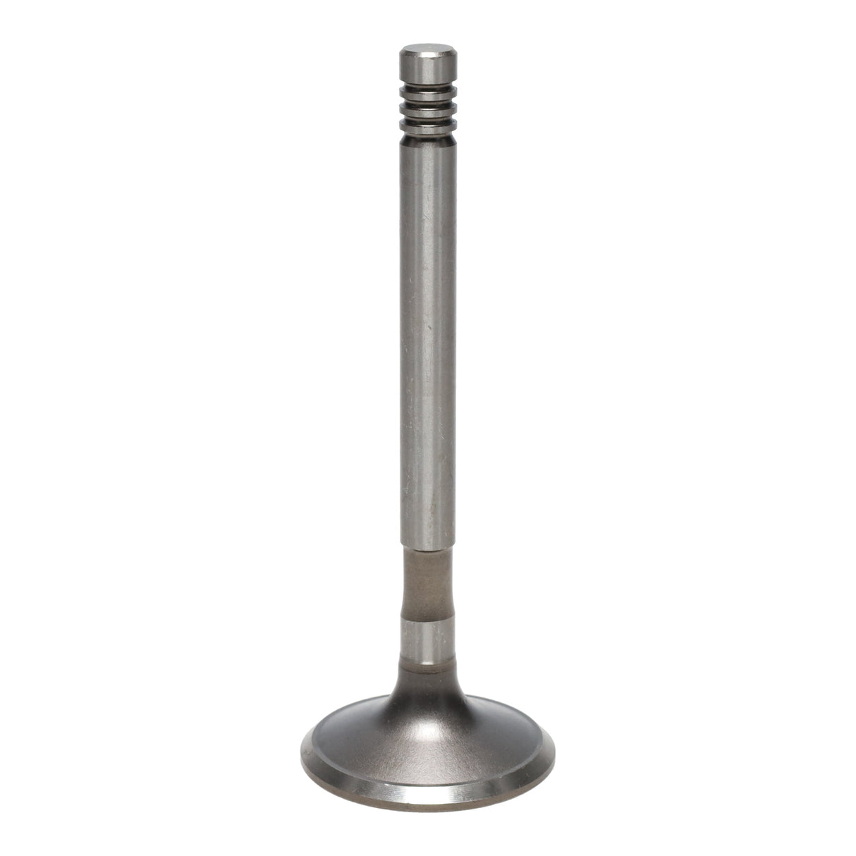Exhaust Valve