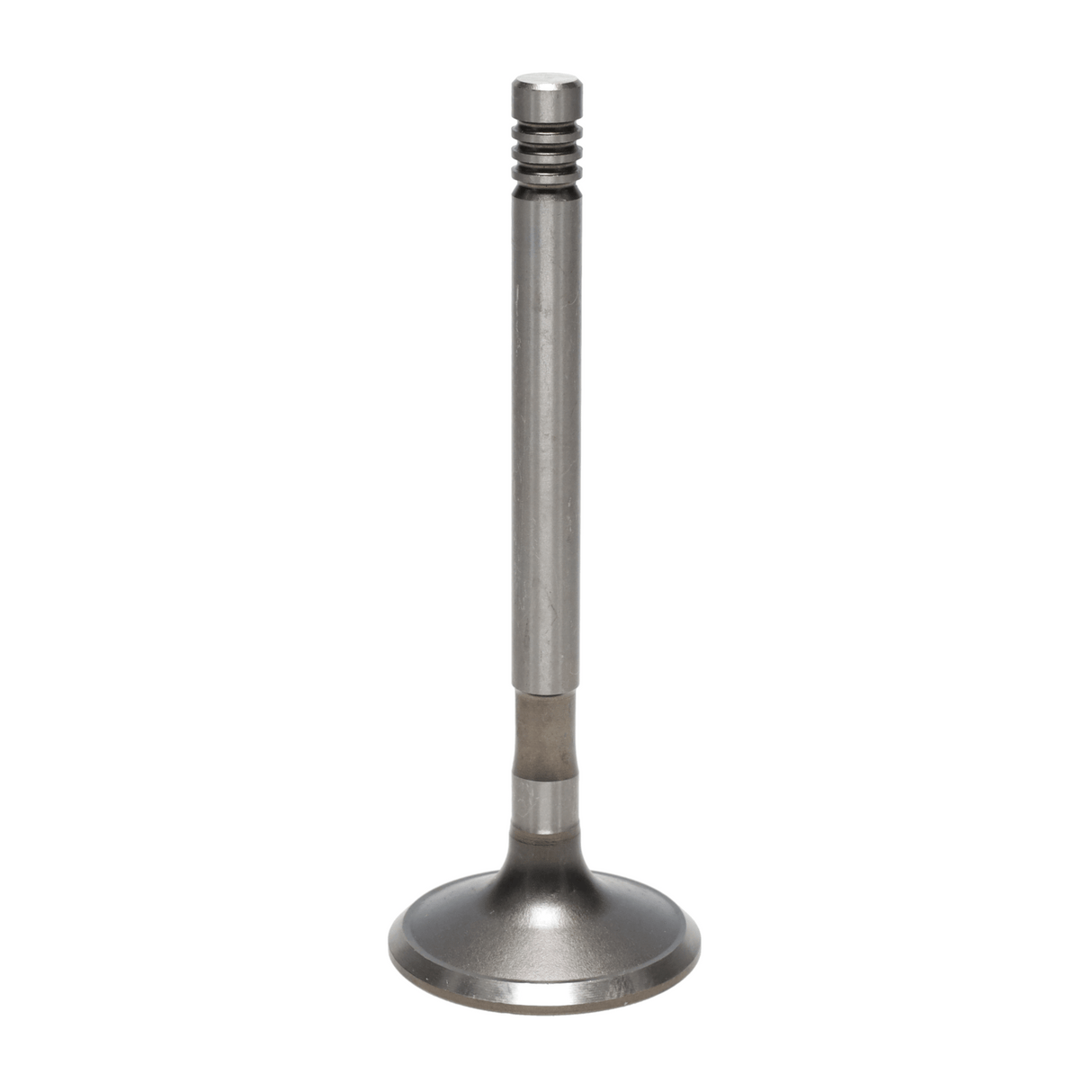 Exhaust Valve