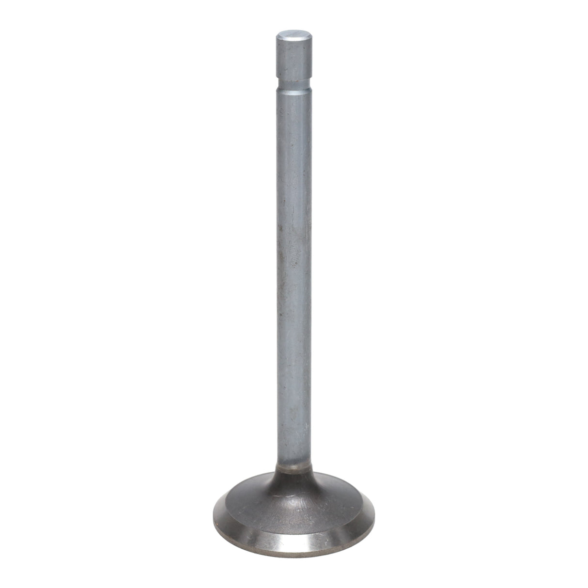 Exhaust Valve