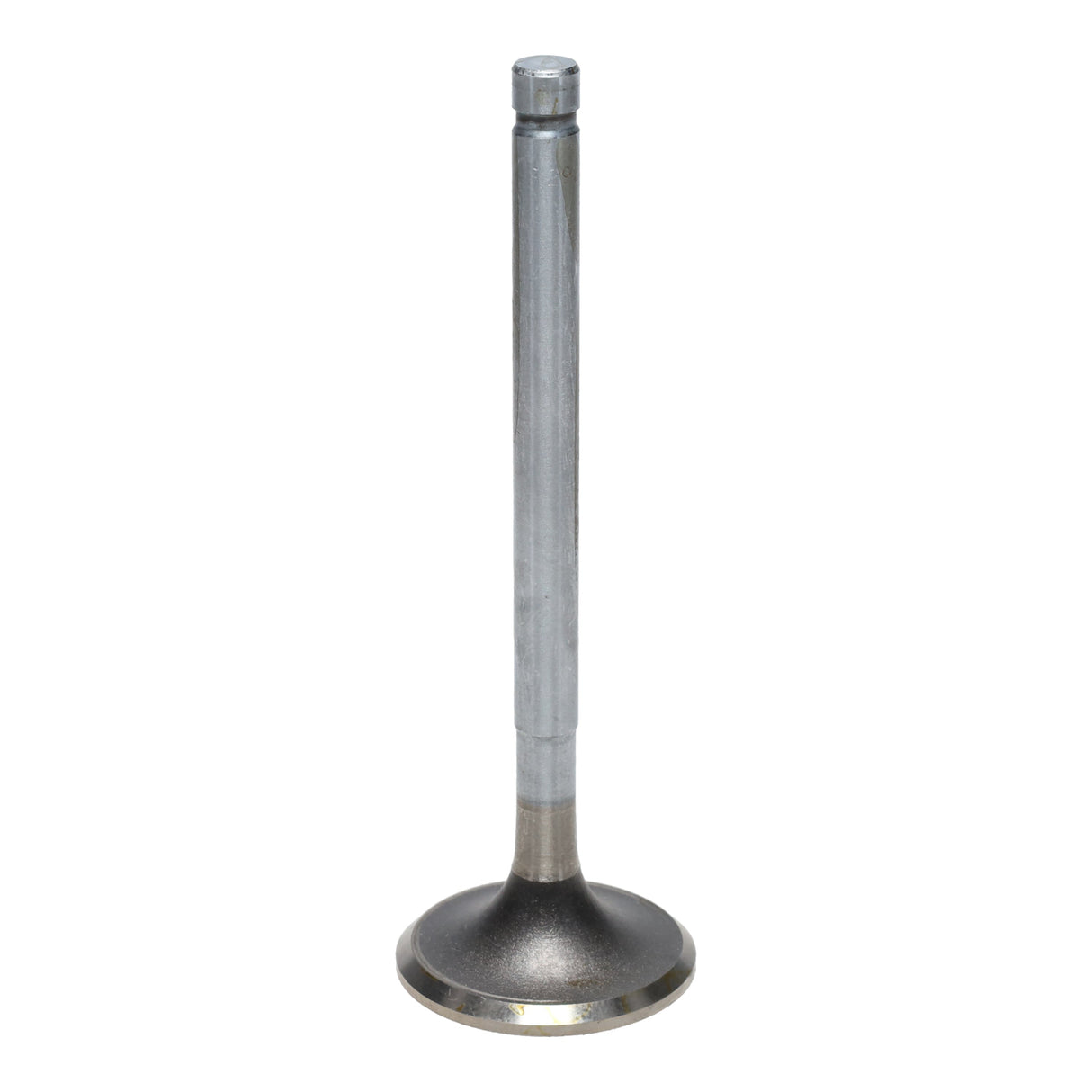 Exhaust Valve