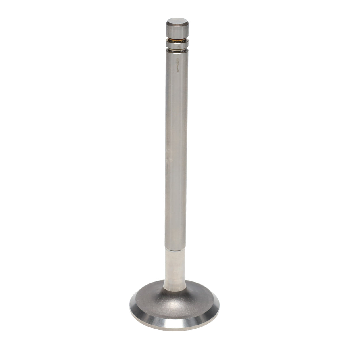 Intake & Exhaust Valve