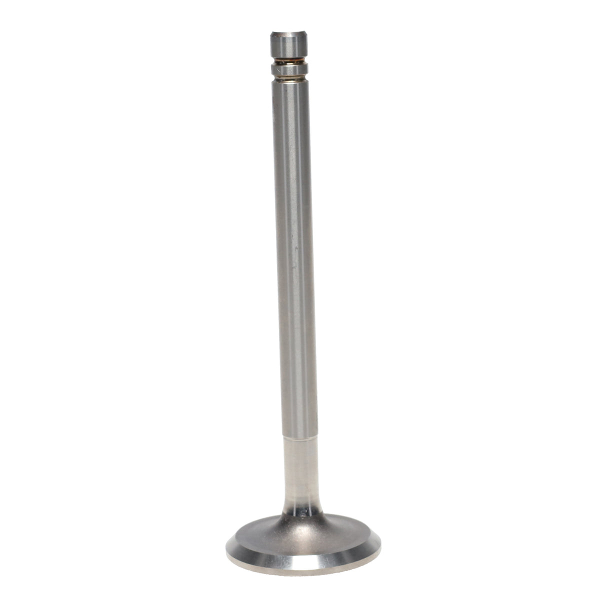 Intake & Exhaust Valve
