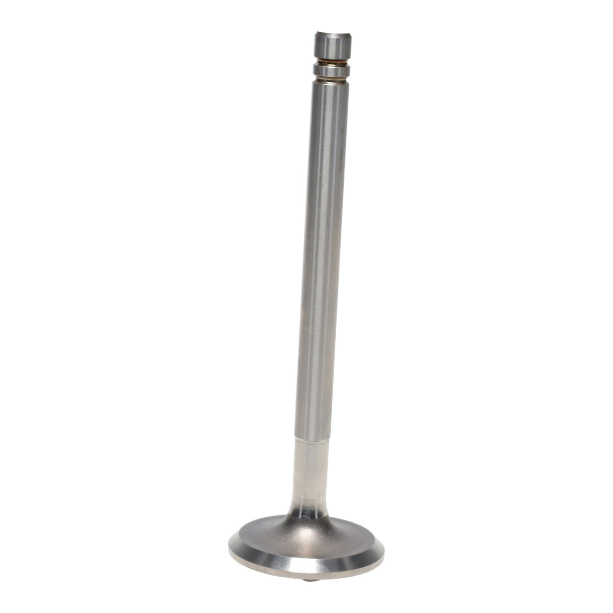 Intake & Exhaust Valve