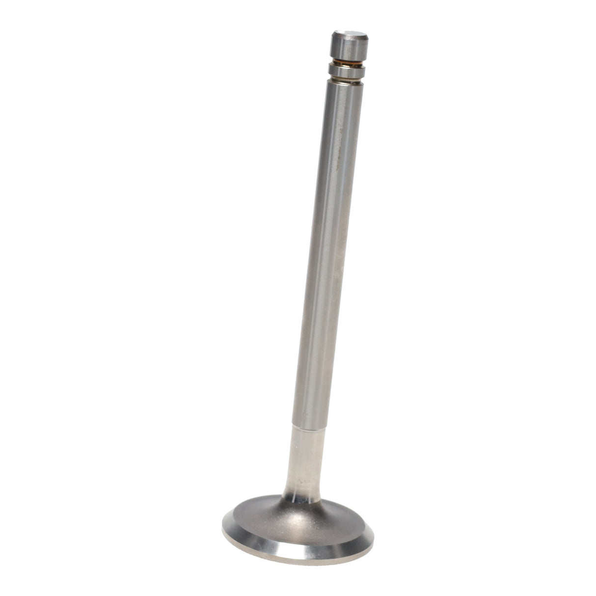 Intake & Exhaust Valve