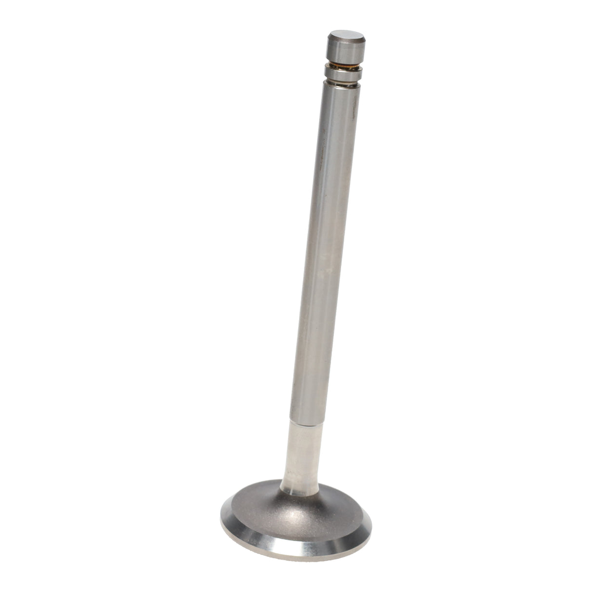 Intake & Exhaust Valve