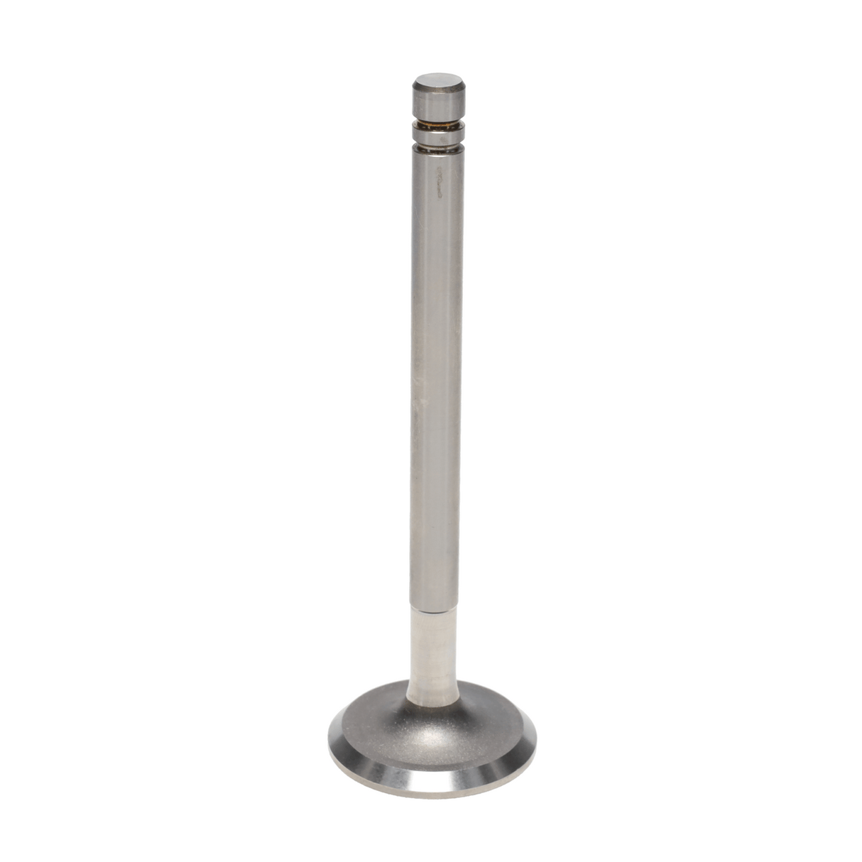 Intake & Exhaust Valve